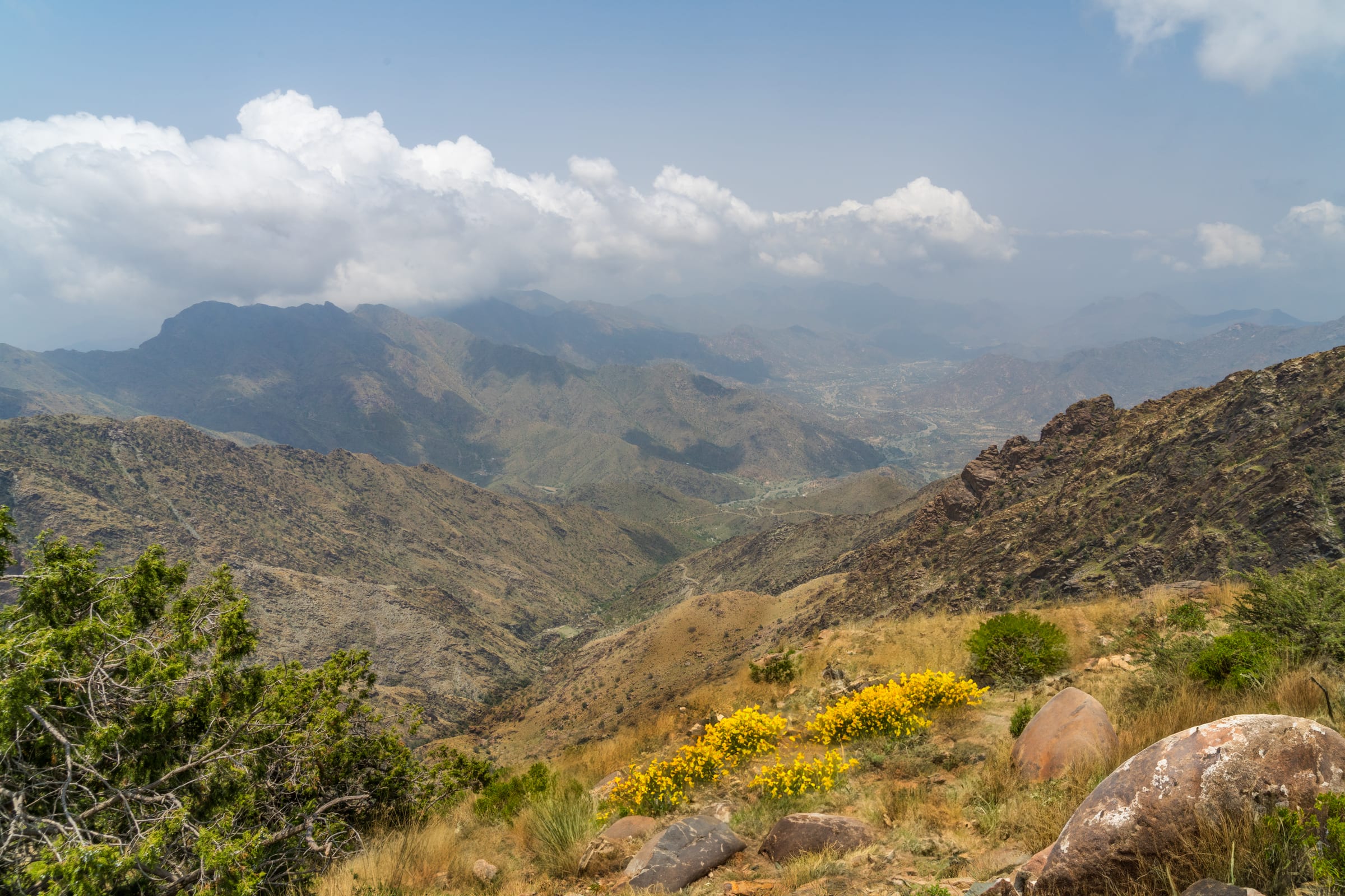 Alhadab View