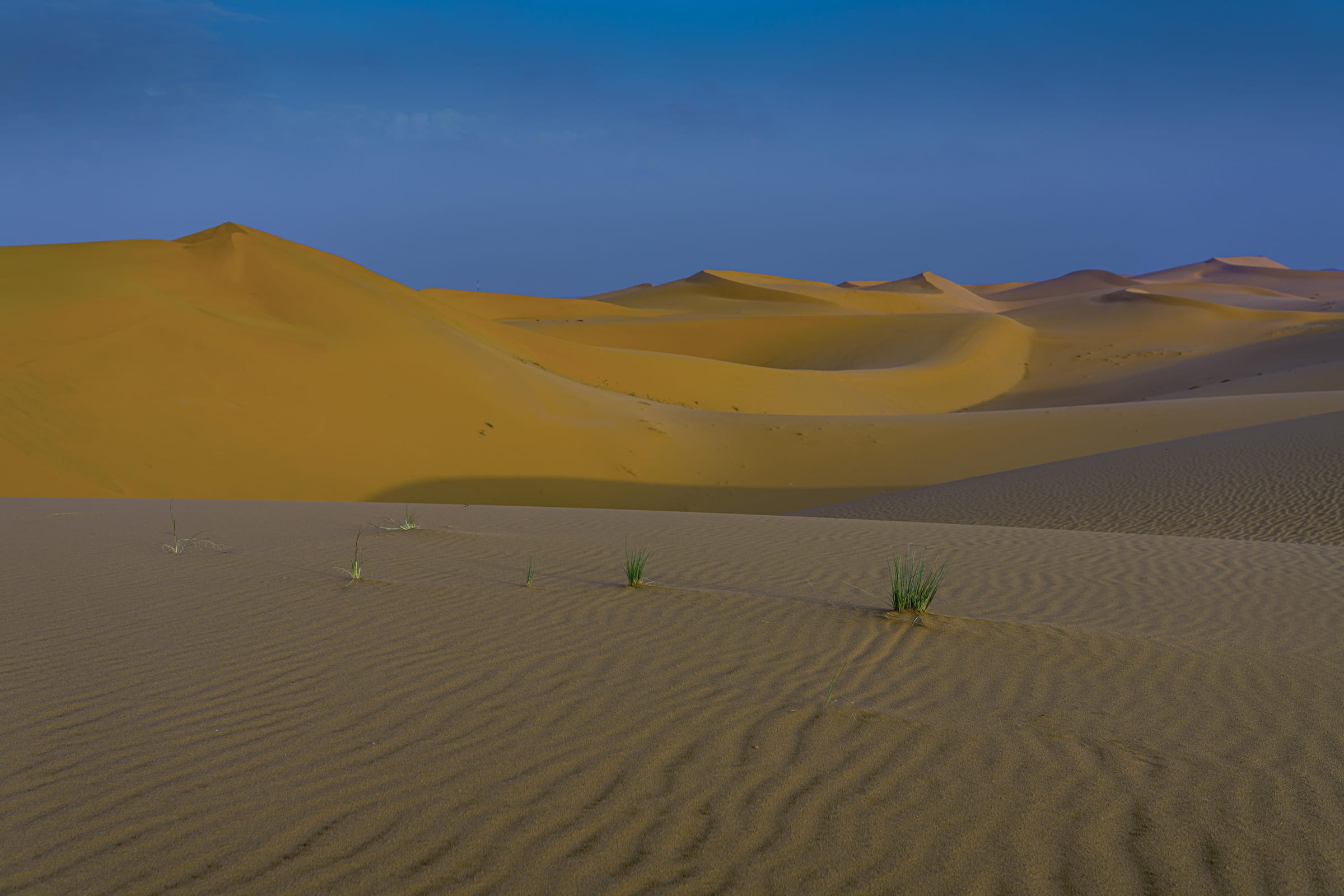 dahna pano1