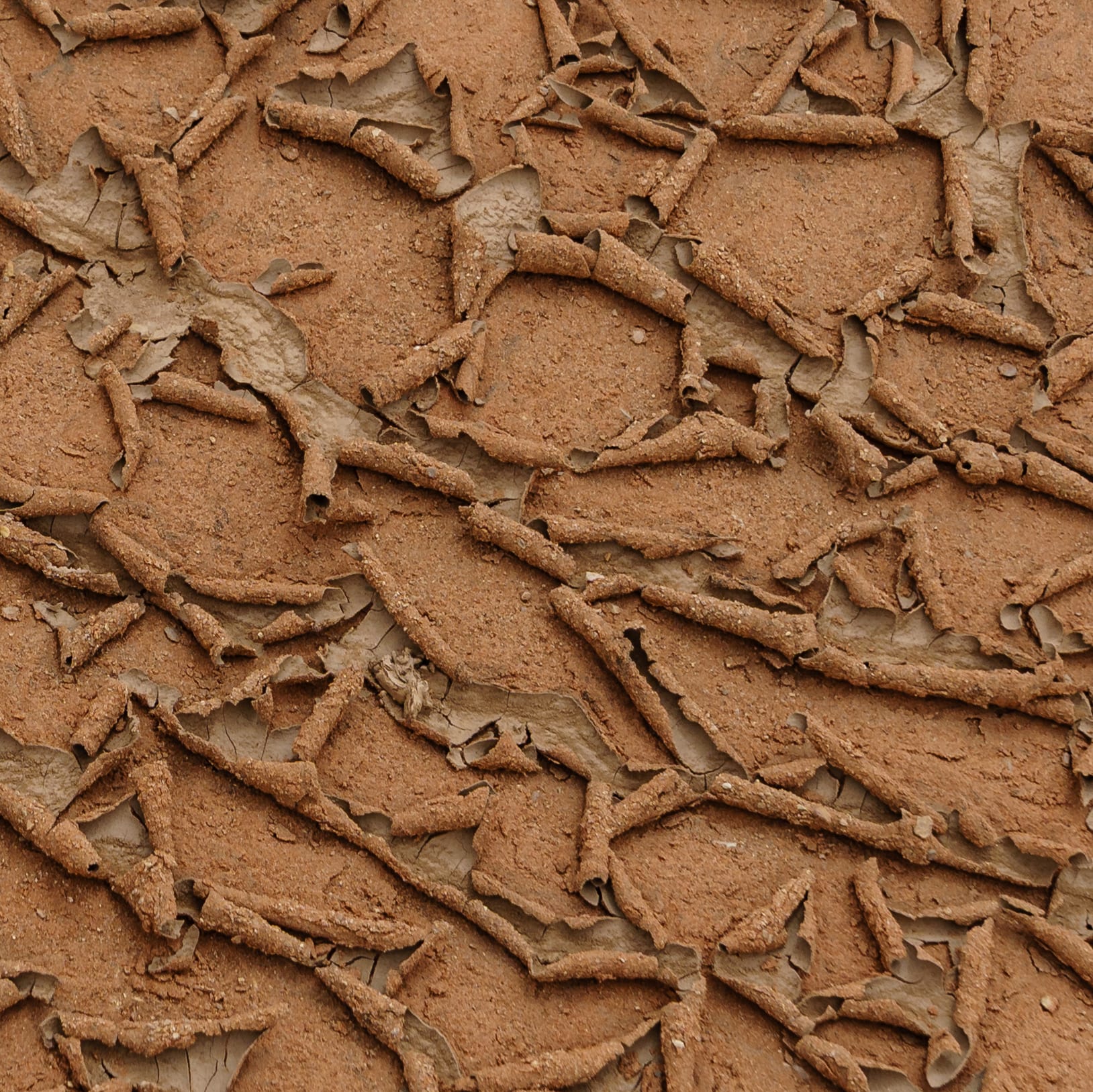earth crusts