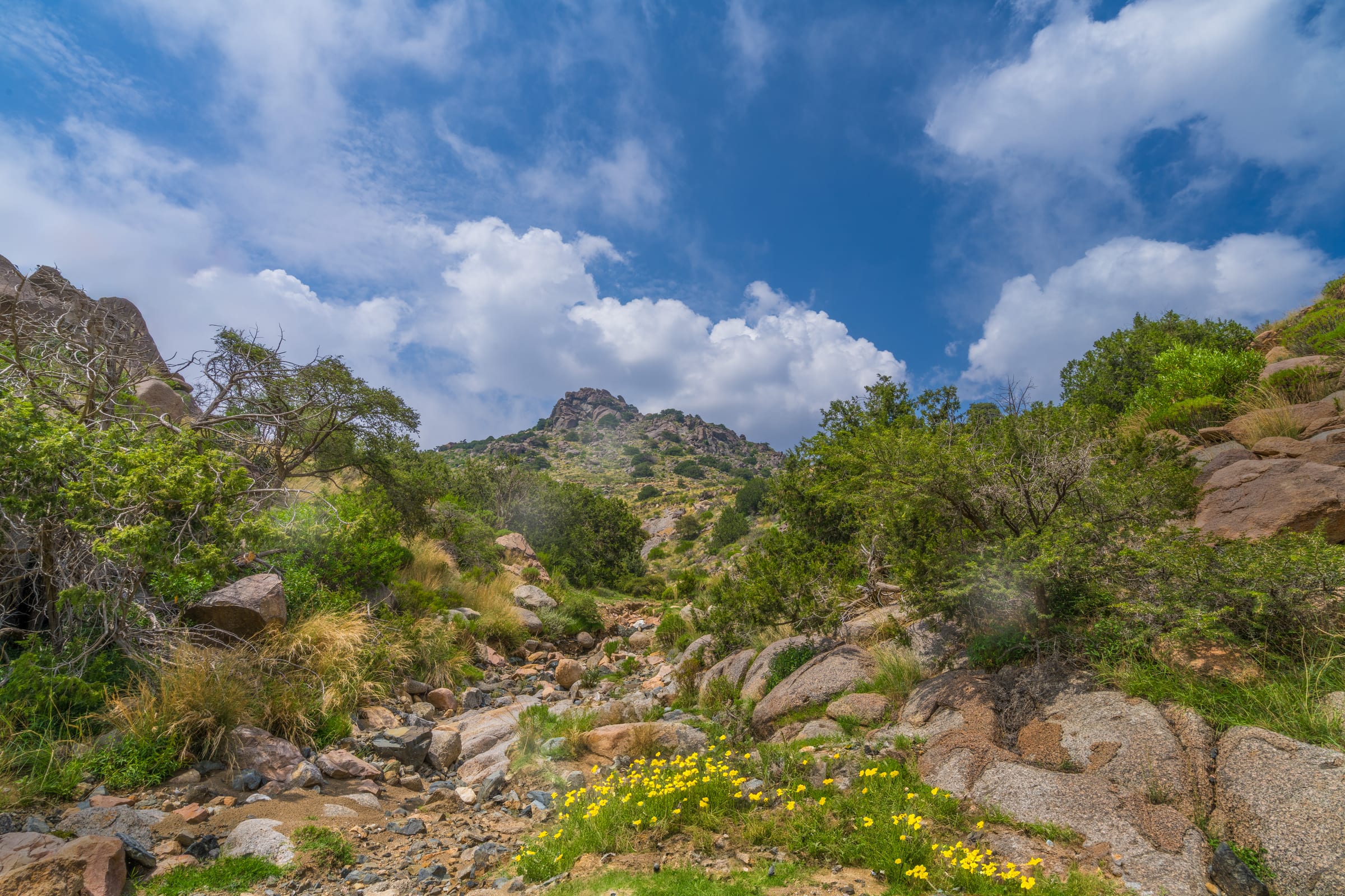Jabal Aldharb