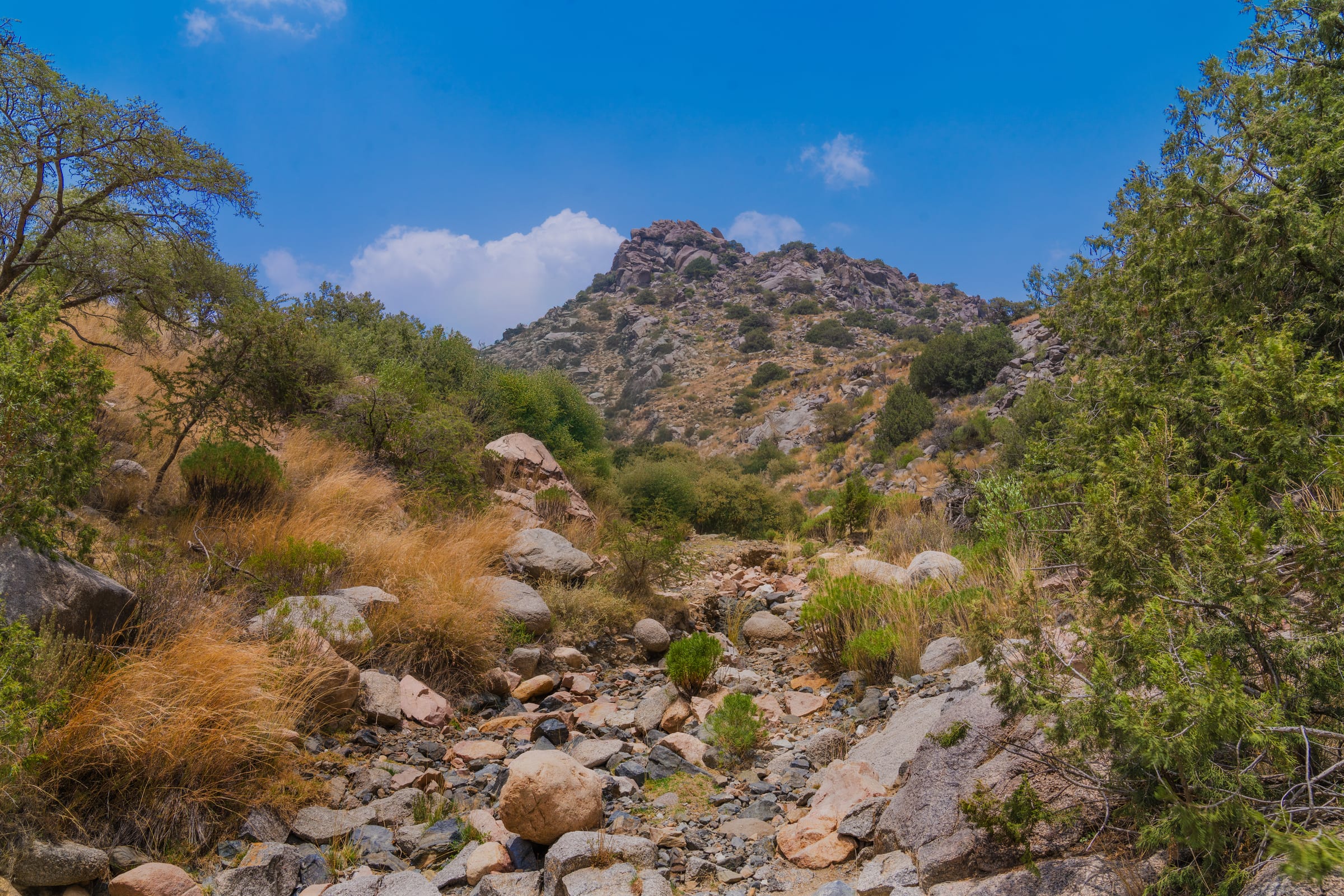 Jabal Dharab