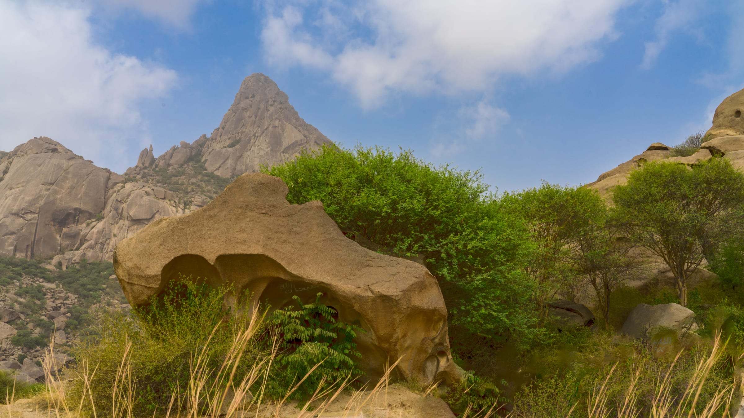 Jabal shada trees