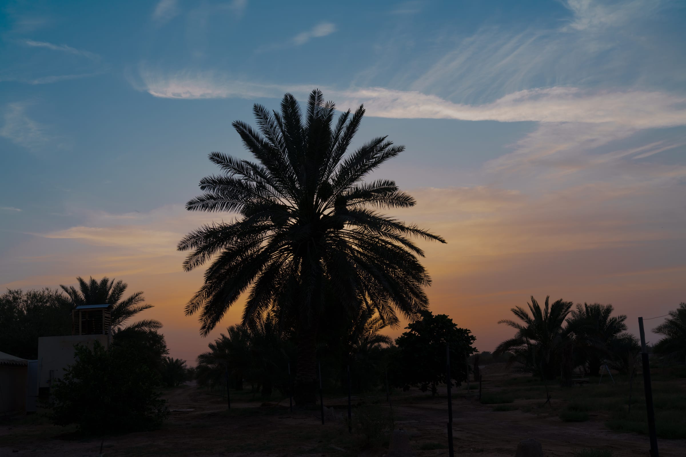 sun rise