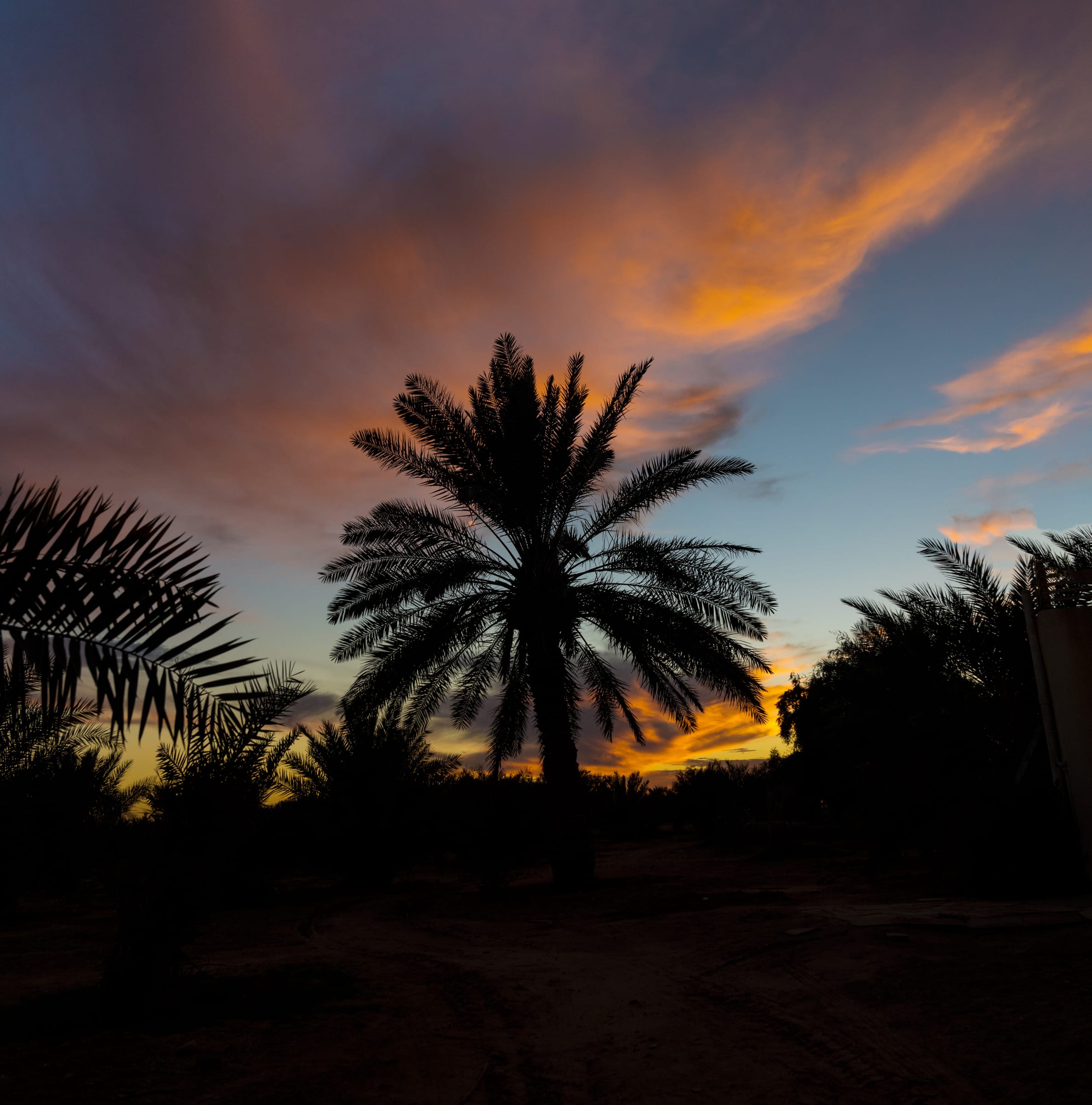 sunset in jan