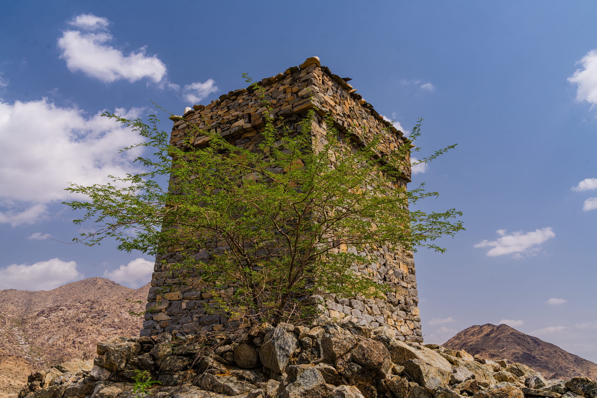 Tower with a rare tree
