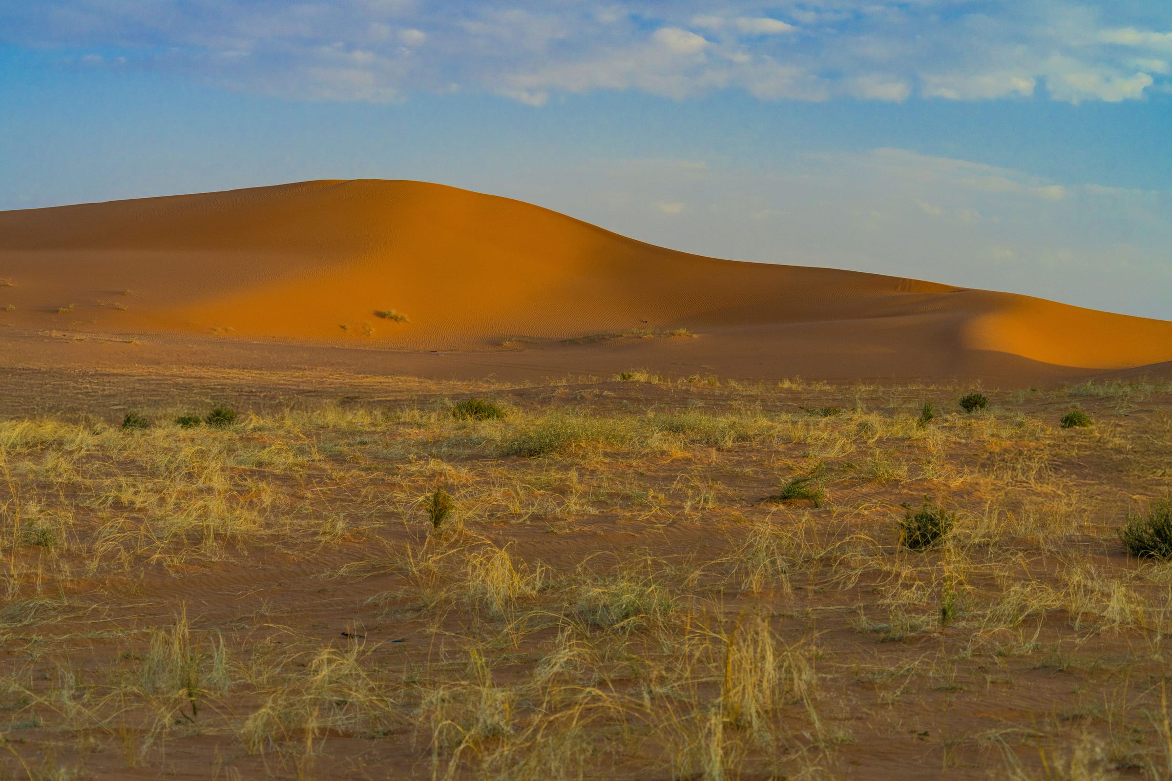 ushaiger desert