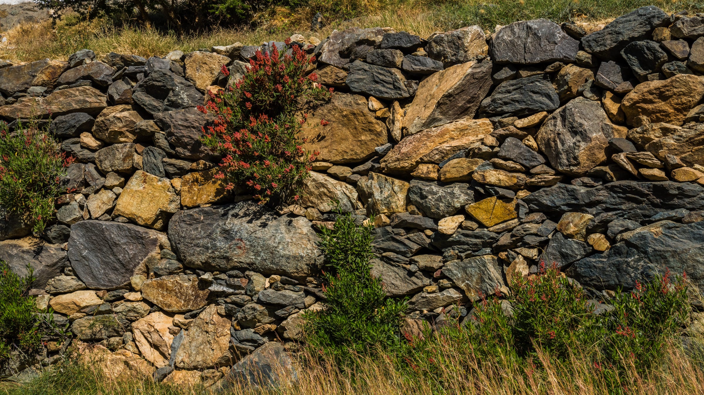 wall