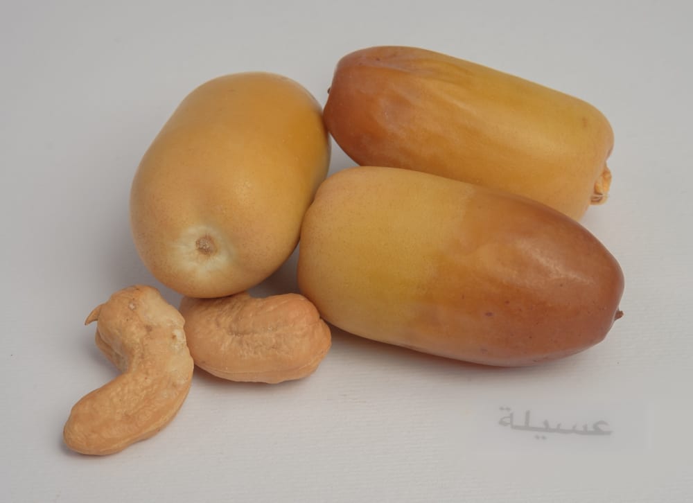 Asseela