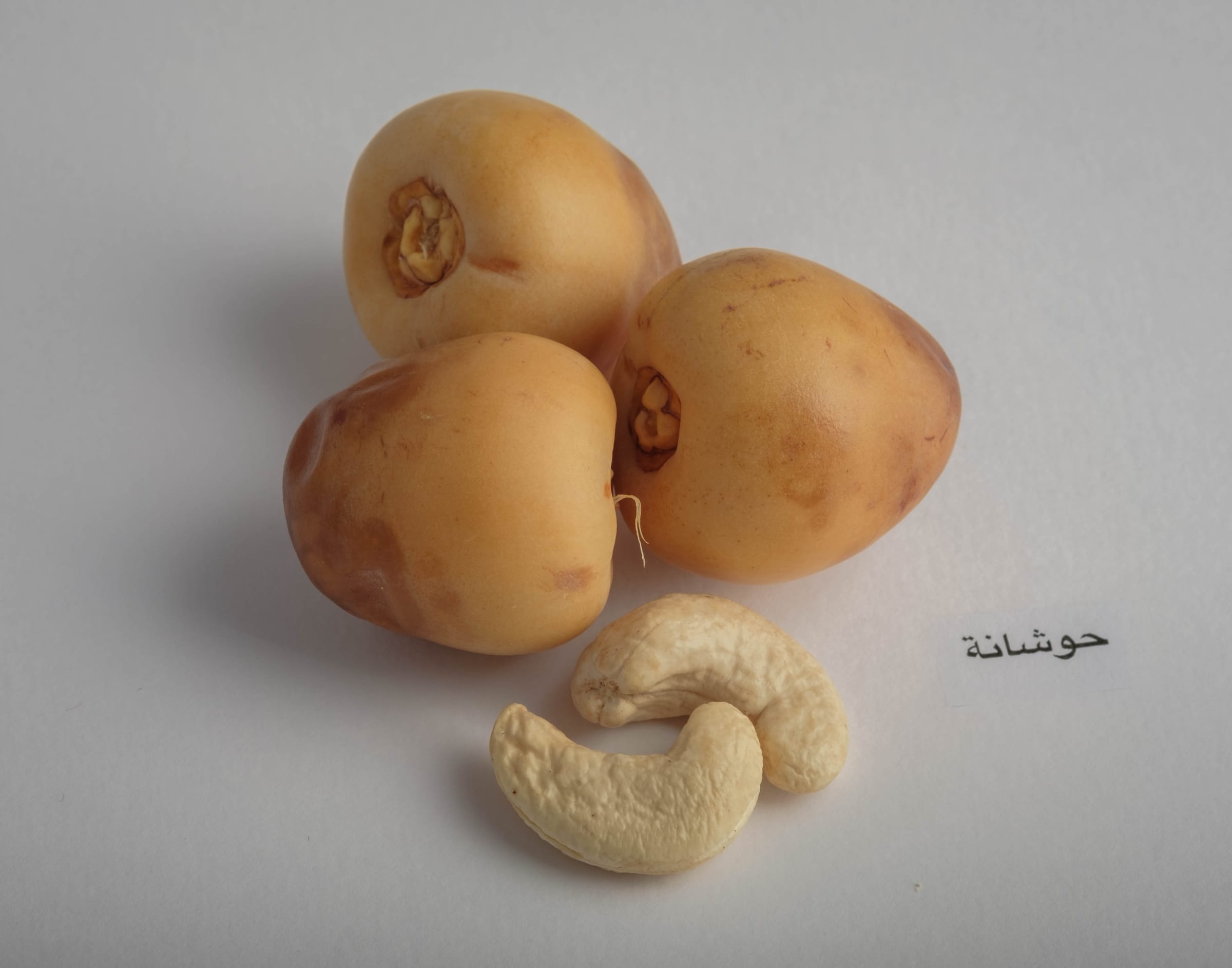 Hoshaani