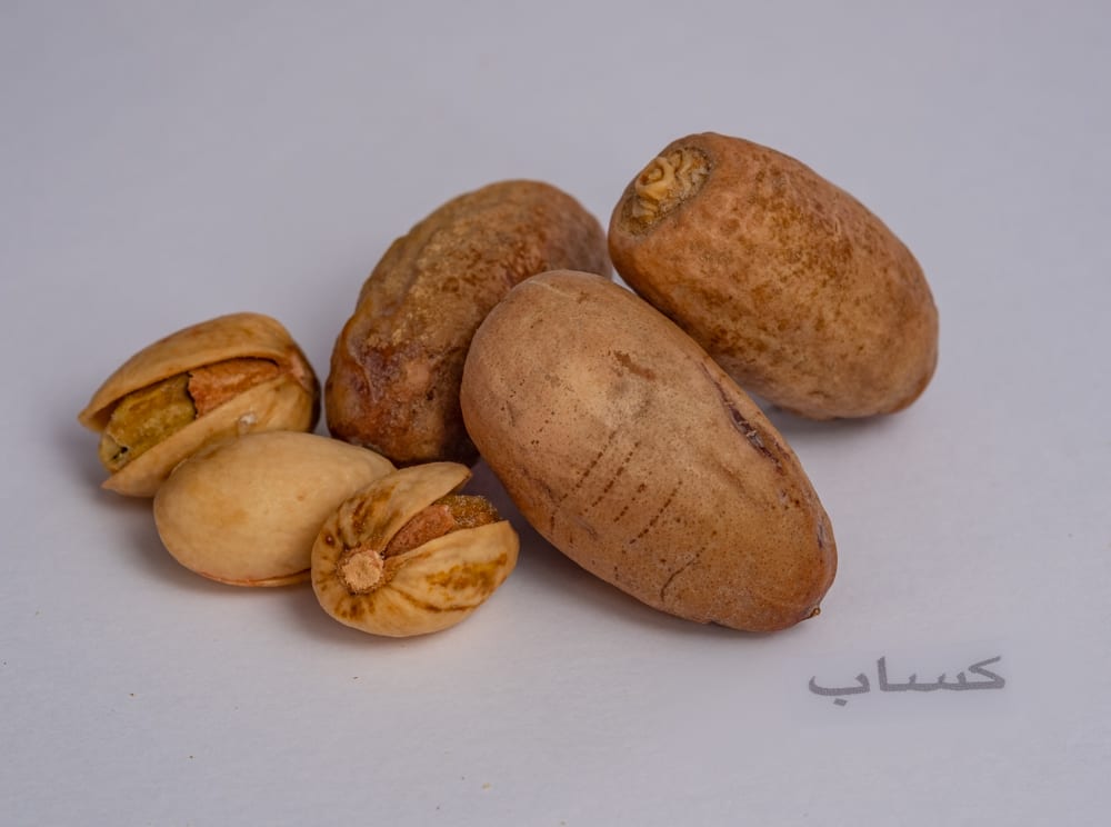 Kassab