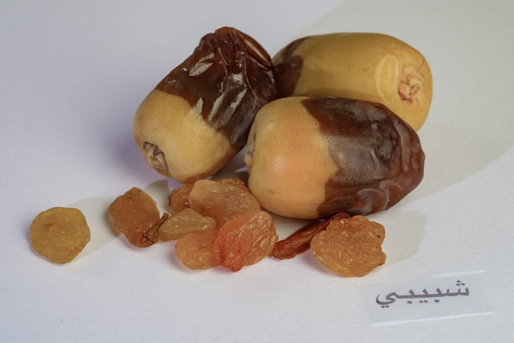 Shabibi