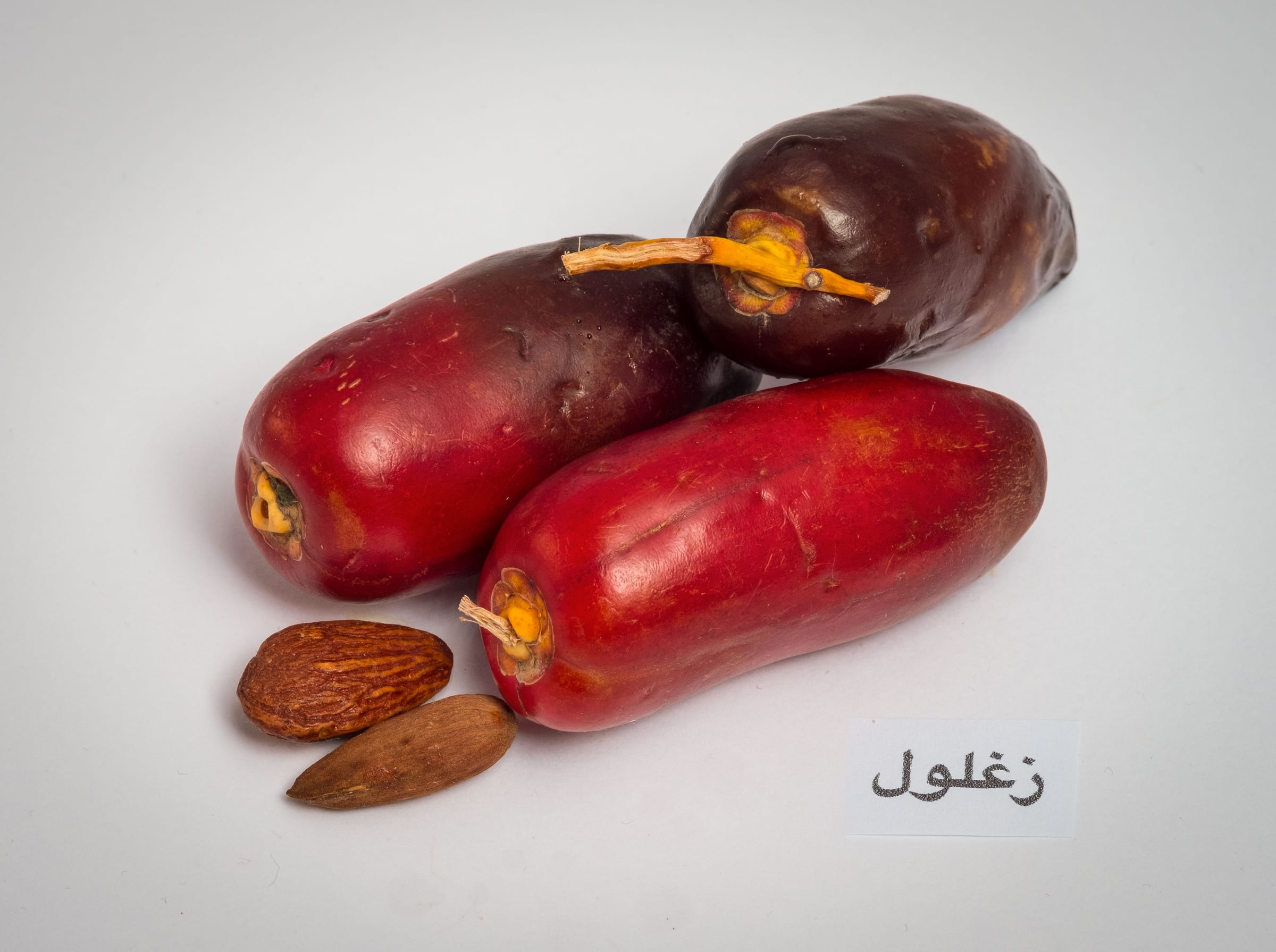 Zaghloul